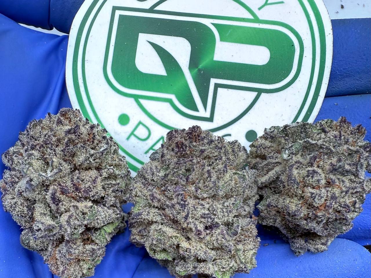 1757485382253.jpg PURPLE LEAN - Image 1