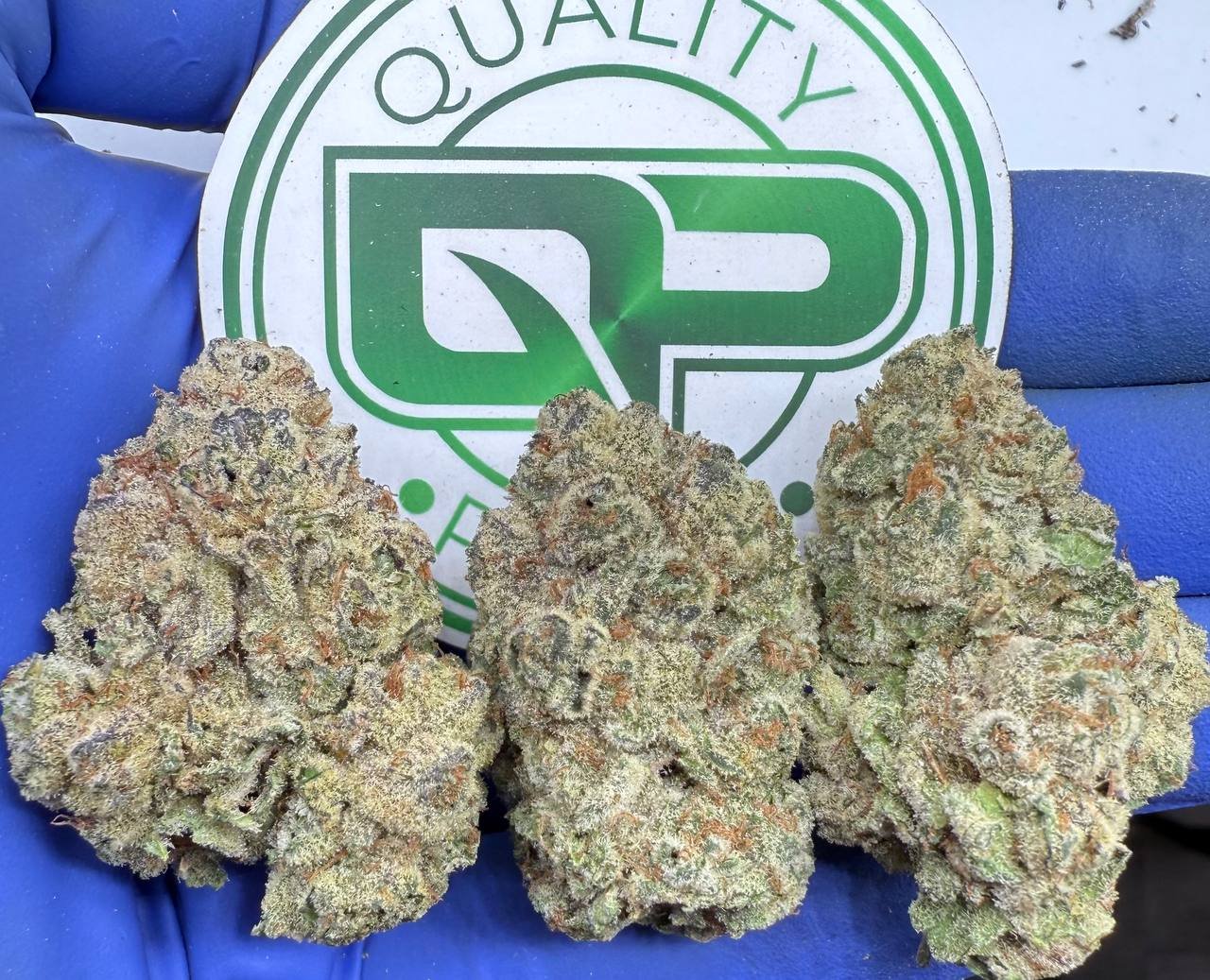 1757485588242.jpg FIZZY FUEL - Image 1