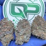 CHERRIEZ AND BERRIEZ