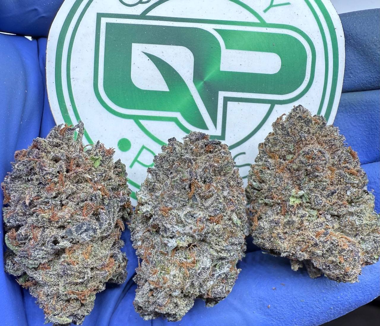 1761195143458.jpg CHERRIEZ AND BERRIEZ - Image 1