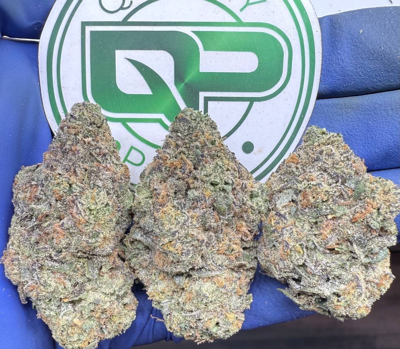 1763788514313.jpg HIGHBALLZ - Image 1